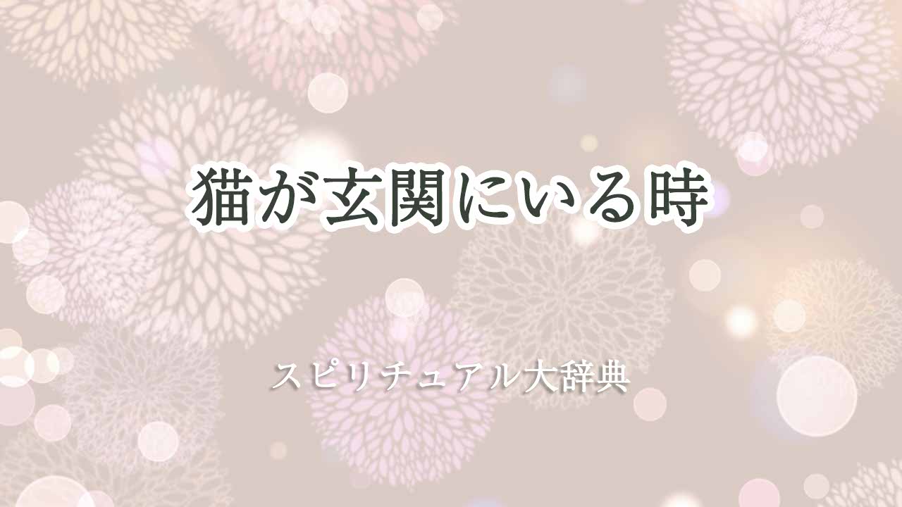 猫が玄関にいる-スピリチュアル