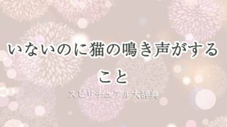 猫の-鳴き声-いない-のに-スピリチュアル