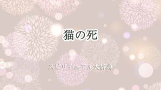 猫の死-スピリチュアル