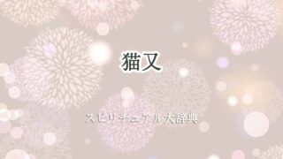 猫又-スピリチュアル