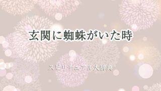 玄関-蜘蛛-スピリチュアル