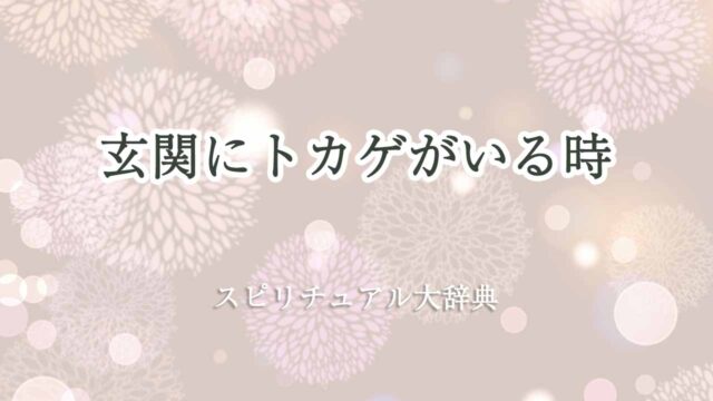 玄関にトカゲ-スピリチュアル