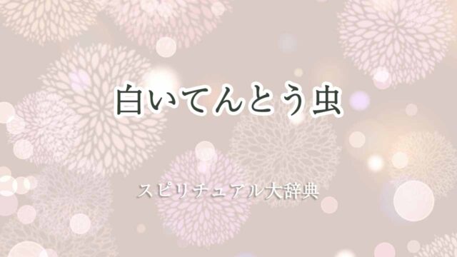 白いてんとう虫-スピリチュアル