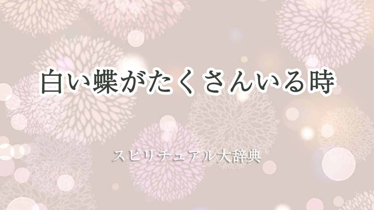白い蝶-たくさん-スピリチュアル