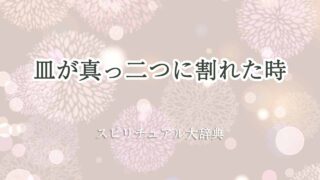 皿-が-真っ-二-つ-に-割れ-た-スピリチュアル