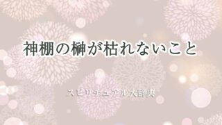 神棚-榊-枯れない-スピリチュアル