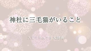 神社-三毛猫-スピリチュアル