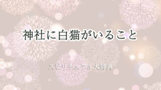 神社-白猫-スピリチュアル