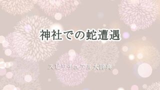 神社-蛇遭遇-スピリチュアル