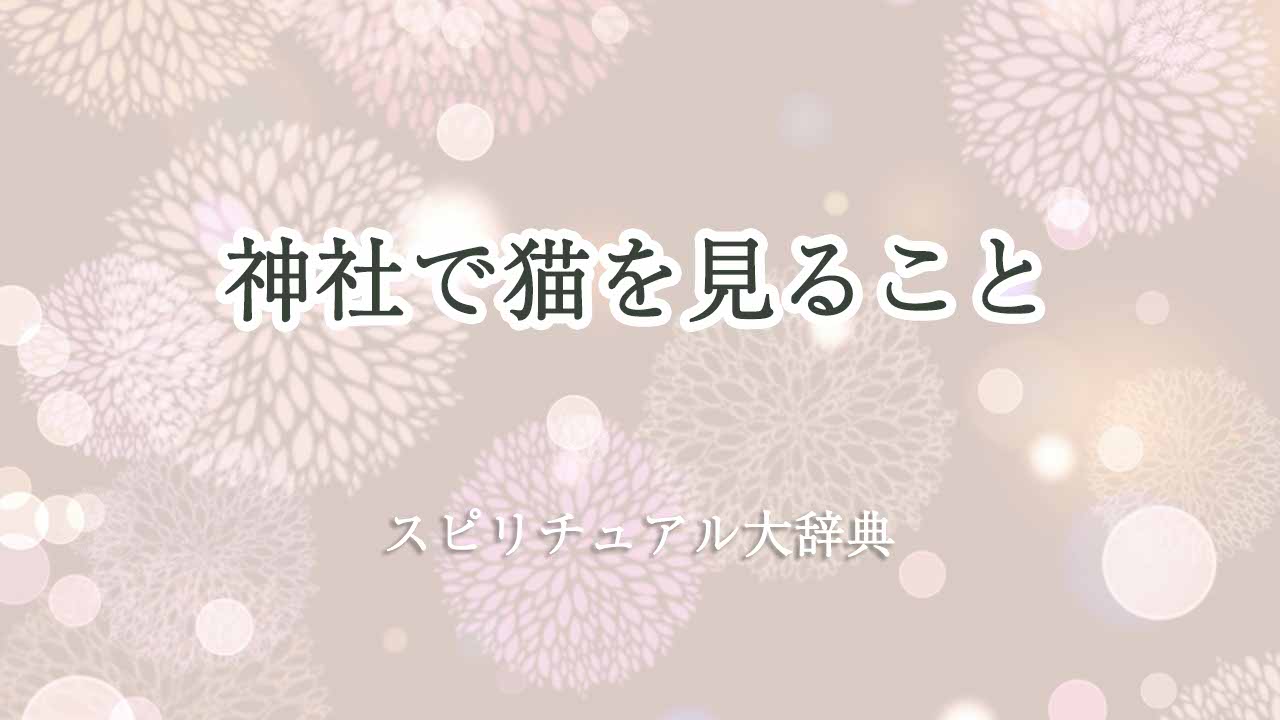 神社で猫を見る-スピリチュアル