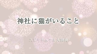 神社に猫-スピリチュアル