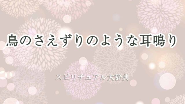 耳鳴り-鳥-の-さえずり-スピリチュアル