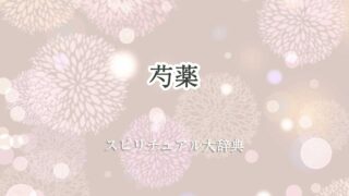芍薬スピリチュアル