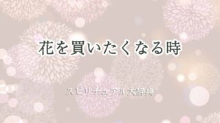 花を買い-たくなる-スピリチュアル