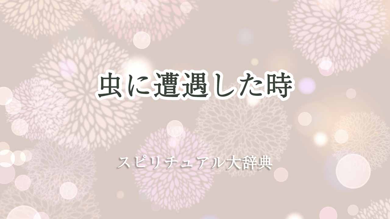 虫に遭遇-スピリチュアル