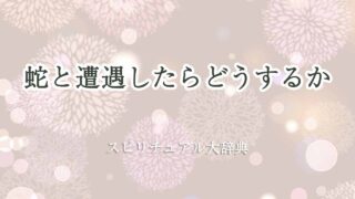 蛇と遭遇したら-スピリチュアル
