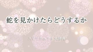 蛇を見かけたら-スピリチュアル