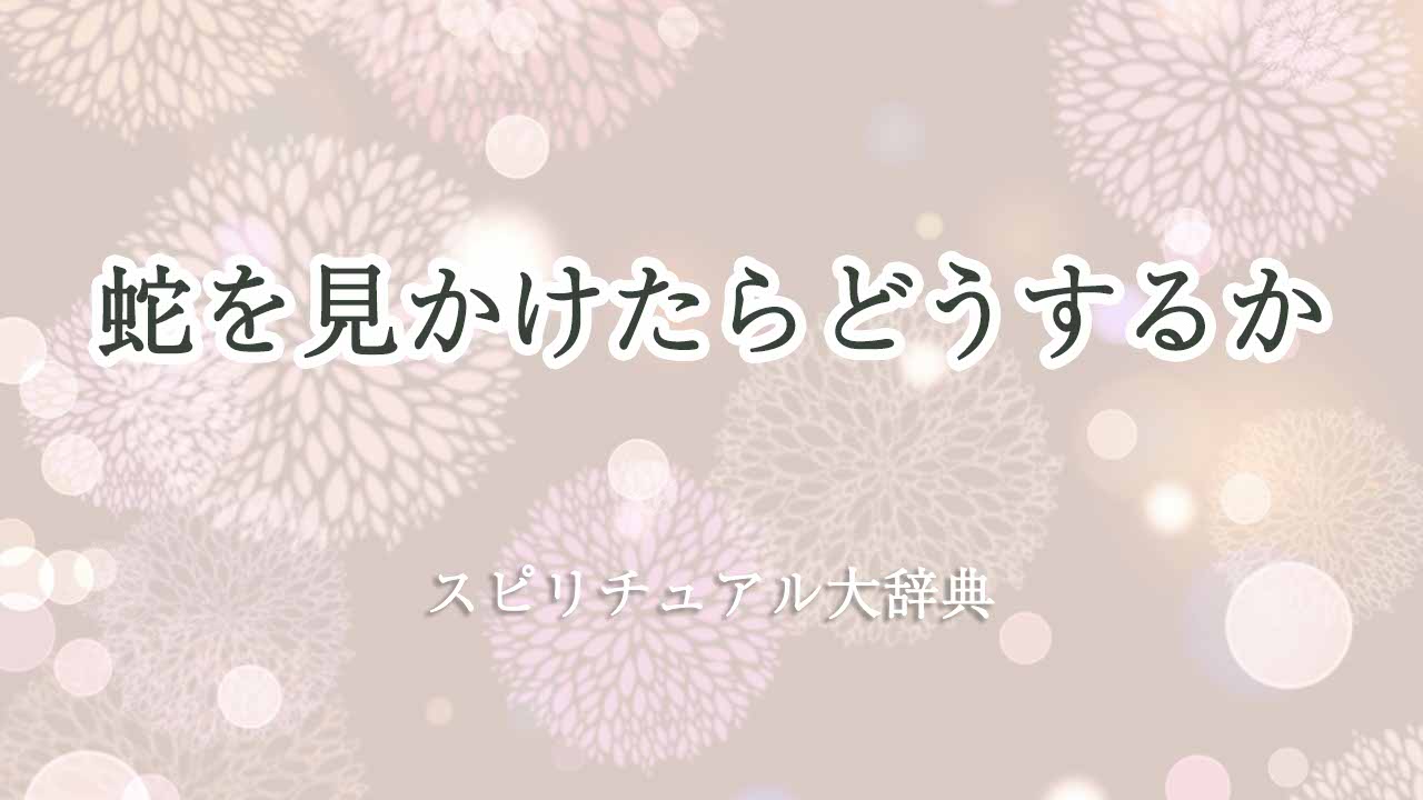 蛇を見かけたら-スピリチュアル