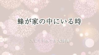 蜂-家の中-スピリチュアル