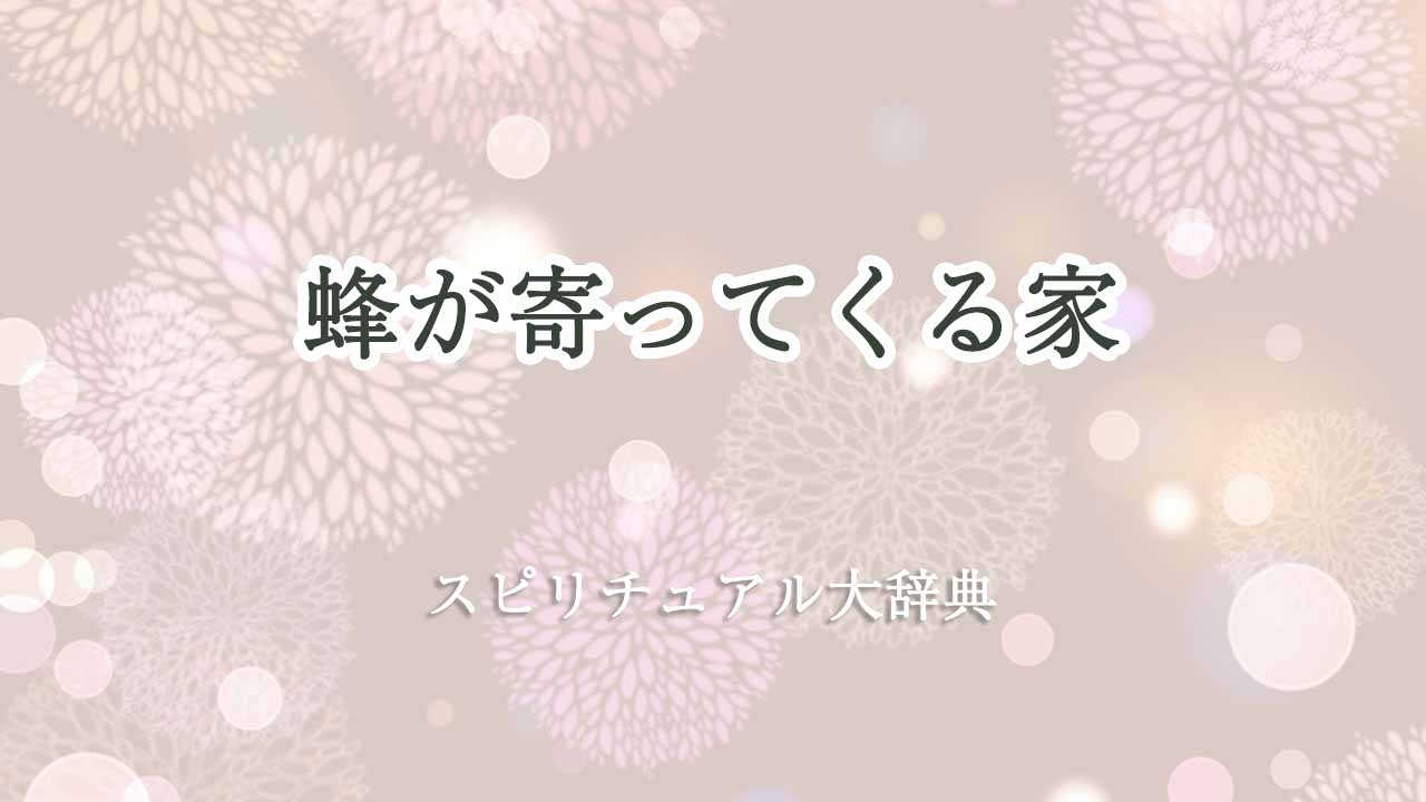 蜂が寄ってくる-家-スピリチュアル