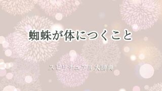 蜘蛛が体につく-スピリチュアル