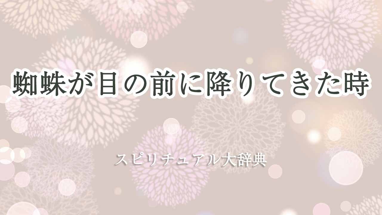 蜘蛛が目の前に降り-てき-たスピリチュアル