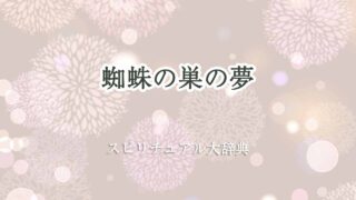 蜘蛛の巣-夢-スピリチュアル