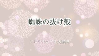 蜘蛛の抜け殻-スピリチュアル