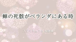 蝉-死骸-ベランダ-スピリチュアル