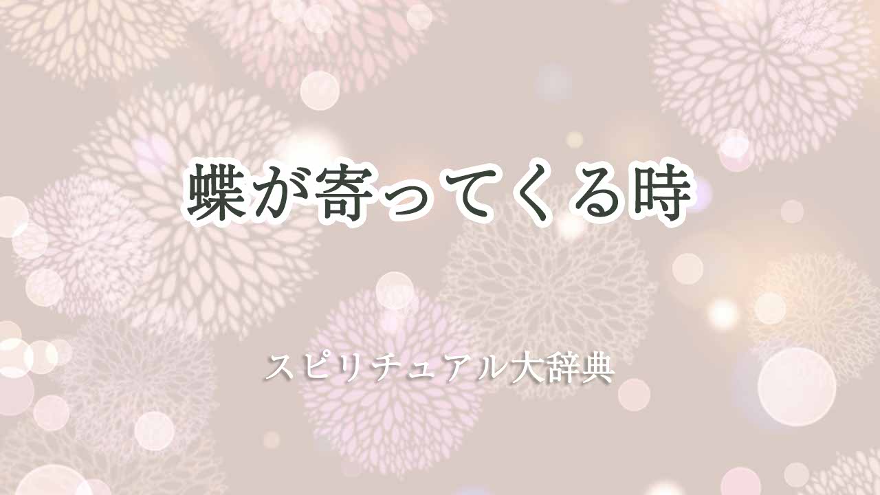 蝶-が-寄っ-て-くる-スピリチュアル