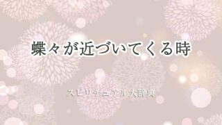 蝶々-近づいてくる-スピリチュアル