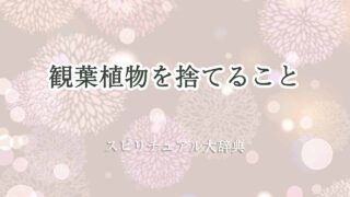 観葉植物-捨てる-スピリチュアル