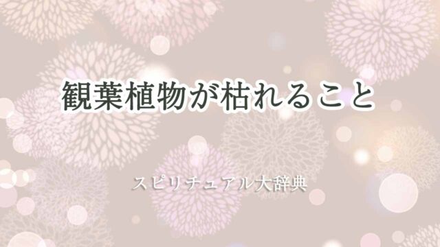 観葉植物-枯れる-スピリチュアル