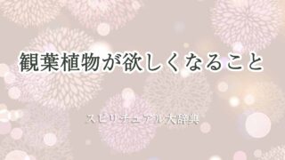 観葉植物-欲しく-なる-スピリチュアル