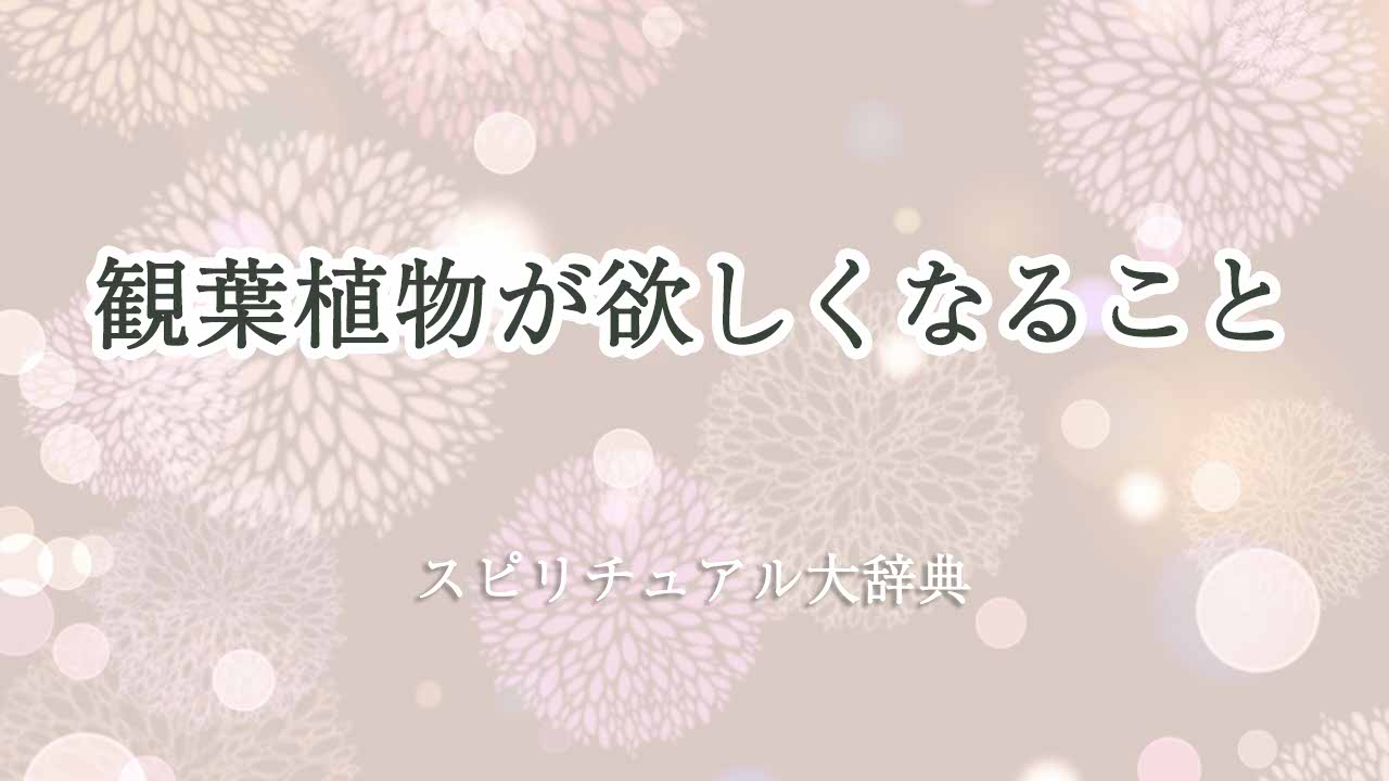 観葉植物-欲しく-なる-スピリチュアル
