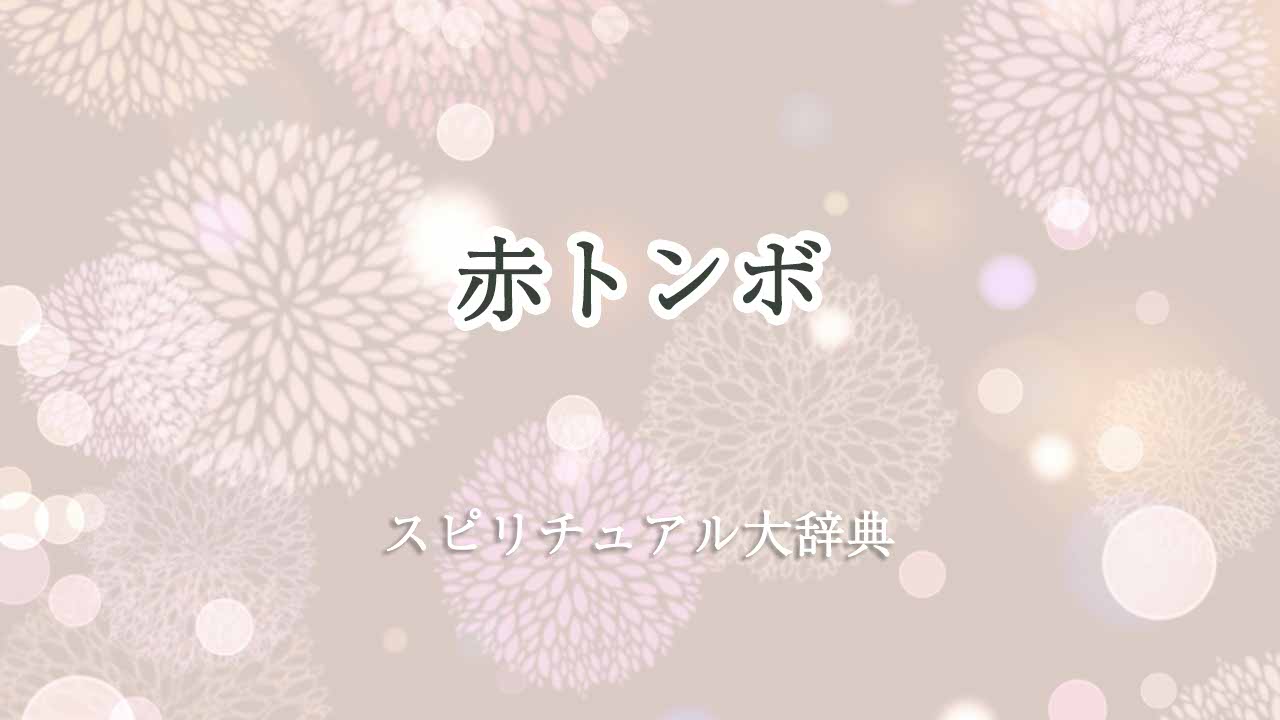 赤トンボ-スピリチュアル
