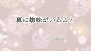 車-蜘蛛-スピリチュアル