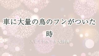 車に大量の鳥のフン-スピリチュアル