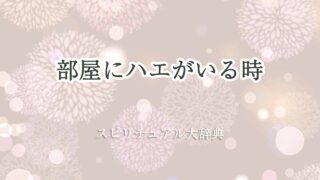 部屋-に-ハエ-スピリチュアル