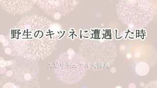 野生のキツネ-遭遇-スピリチュアル