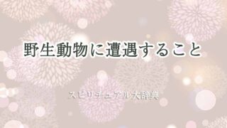 野生動物-遭遇-スピリチュアル