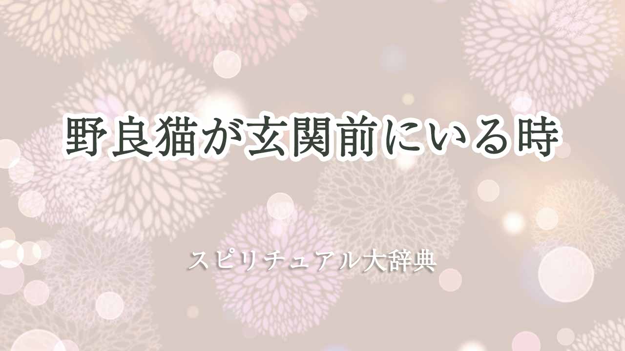 野良猫-玄関前-スピリチュアル