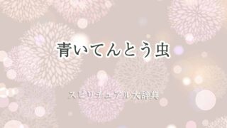 青いてんとう虫-スピリチュアル