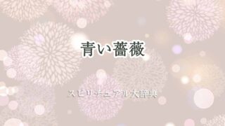 青い薔薇-スピリチュアル