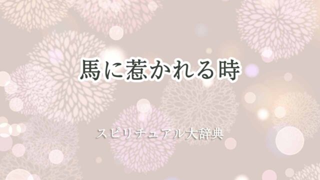 馬に-惹かれる-スピリチュアル