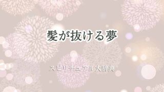 髪が抜ける夢-スピリチュアル