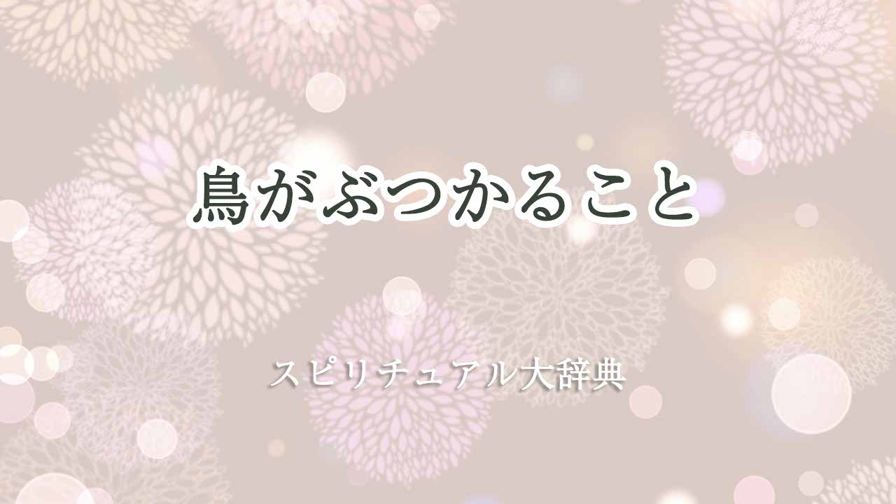 鳥がぶつかる-スピリチュアル