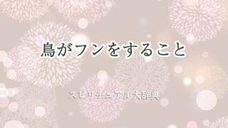 鳥がフンをする-スピリチュアル