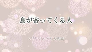 鳥が寄ってくる-人-スピリチュアル
