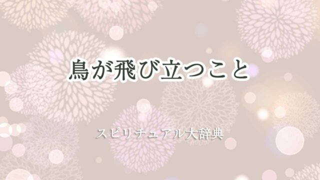 鳥が飛び立つ-スピリチュアル